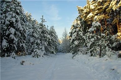 《美国式家长》试玩版上线，体验一把美国的育儿成长故事
